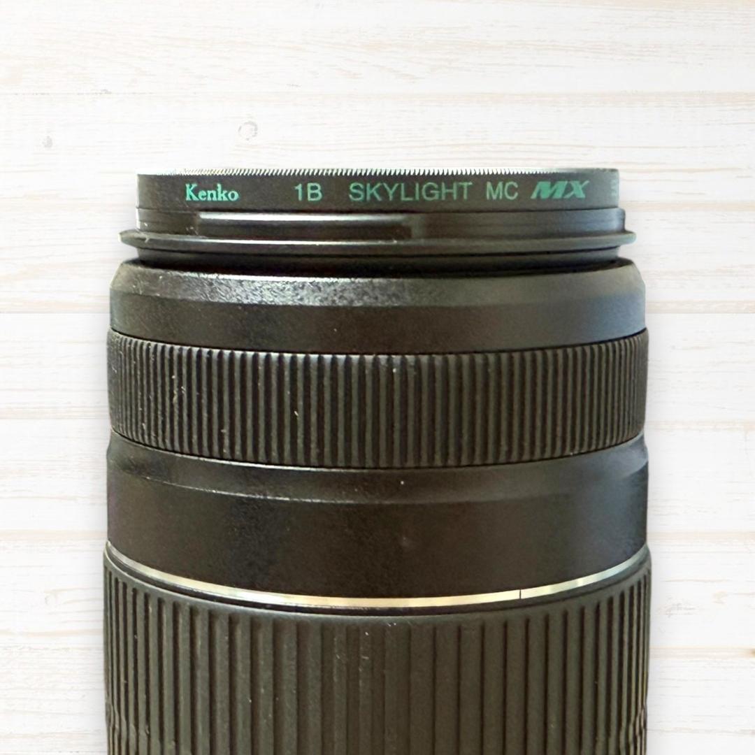 Canon ズームレンズ EF-S 55-250mm IS Ⅱ #93